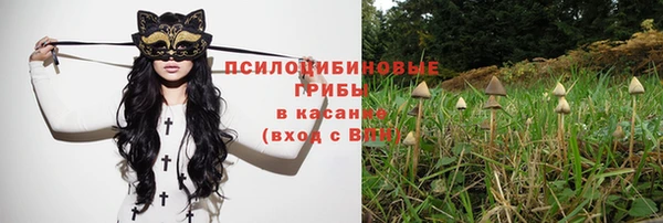 mdma Белокуриха
