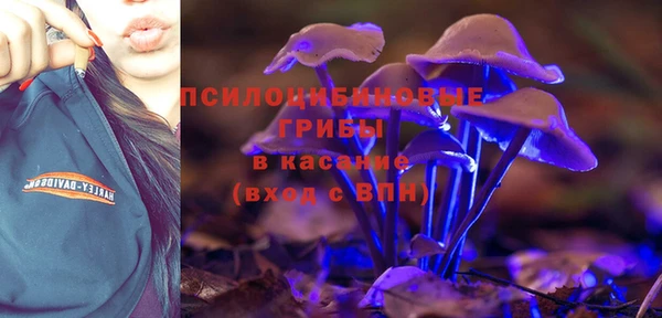 mdma Белокуриха
