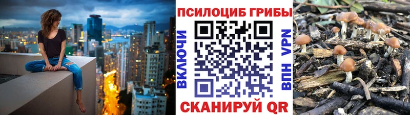 Галлюциногенные грибы Cubensis  где купить наркотик  Коммунар 